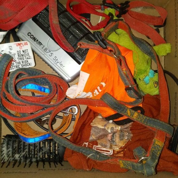 Surprise pet toy, clothing or accessory - Picture 7 of 9